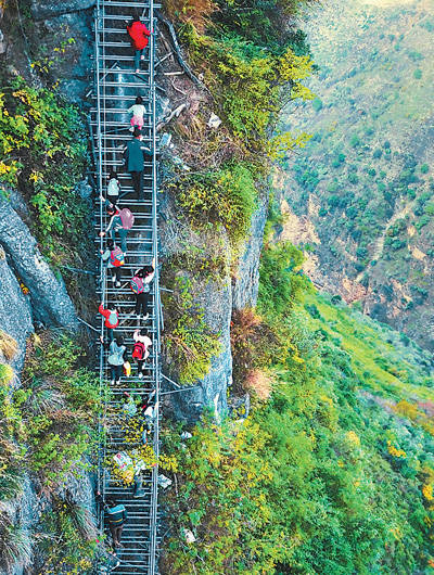 悬崖村 通向幸福(中国梦·家国情)