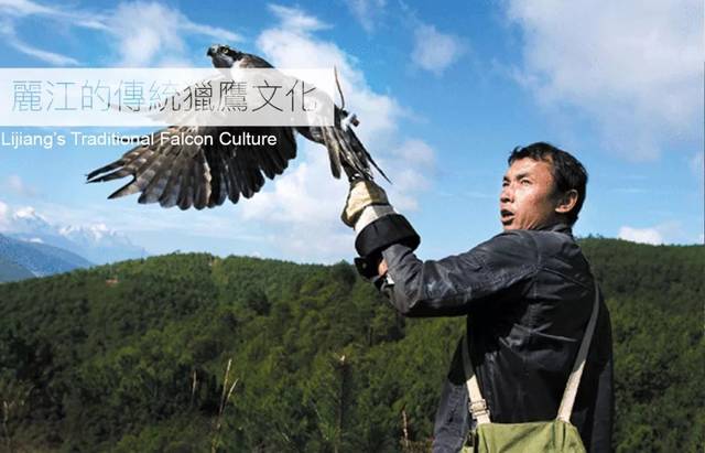 作者:和金荣 今日民族版式:houri wong制图:游子纳西族鹰猎文化的