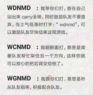 csgo:"闸总","wdnmd".斗鱼最具"素质"的主播原来是他?