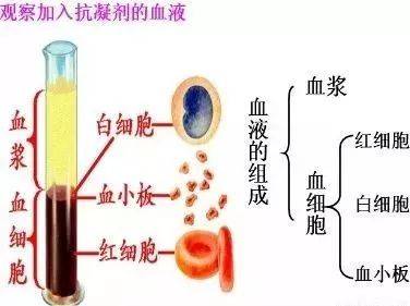 ivd检测项目使用全血,血清,血浆标本分类大汇总!