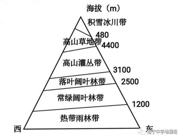 9嘉兴市基础测试 右图为安第斯山脉某段垂直植被带分布图.