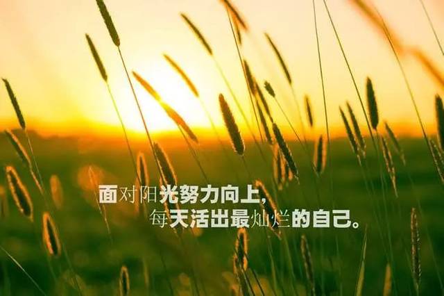 微信温暖人心的正能量简短语录 正能量带字图片