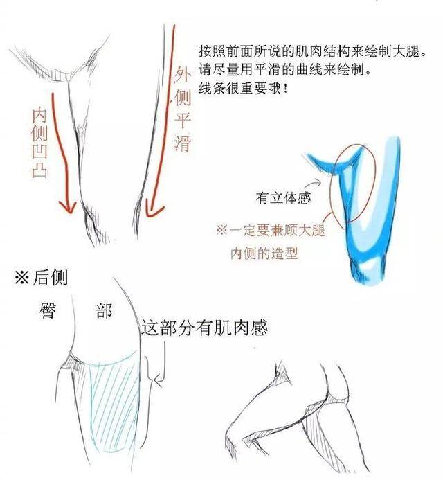 动漫大腿怎么画