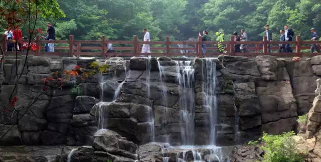 【十一篇】连云港伊甸园花海 大伊山一日游