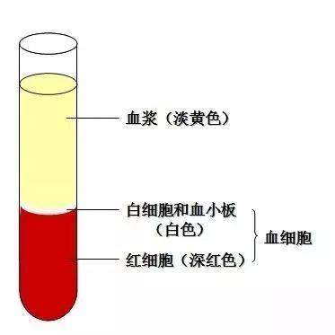 ivd检测项目使用全血,血清,血浆标本分类大汇总!