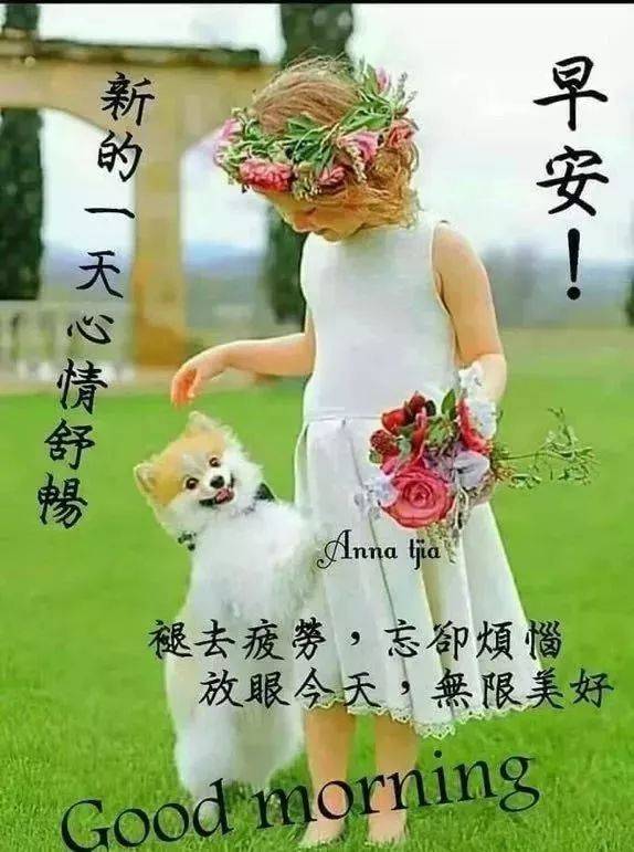 最新暖心早上好问候语阳光句子 微信清晨祝福语图片