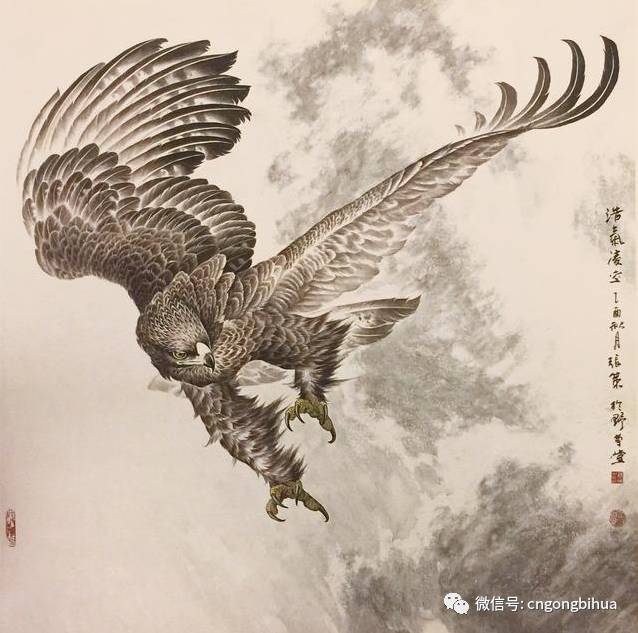 中国画工笔鹰技法:手把手教你画鹰方法,零基础也能画出展翅雄鹰