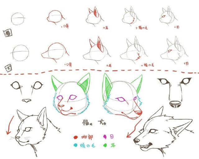 「推荐」小动物中小猫,小狗要怎么画?跟着教程来很快就学会啦