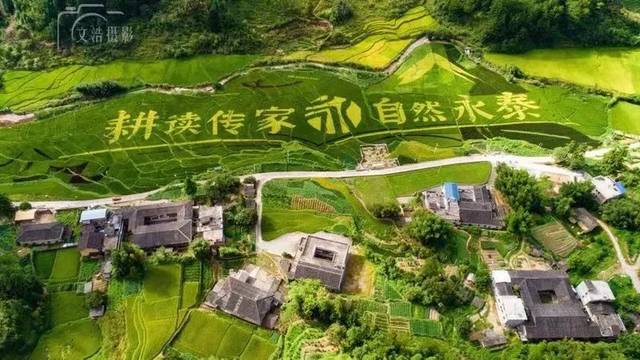 花一天时间,在美丽永泰收获彩色稻浪 | 首届耕读文化艺术节