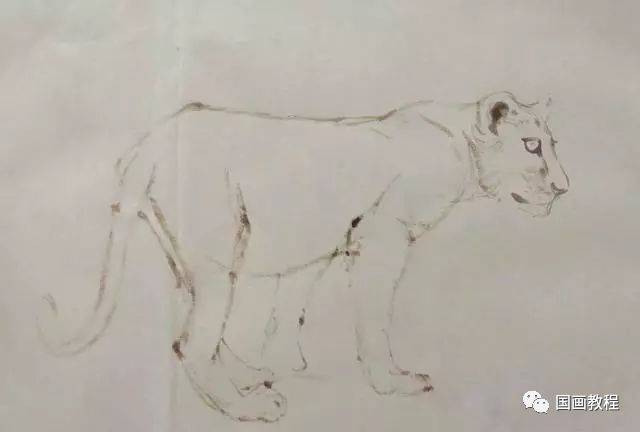 【国画教程】狮子的画法