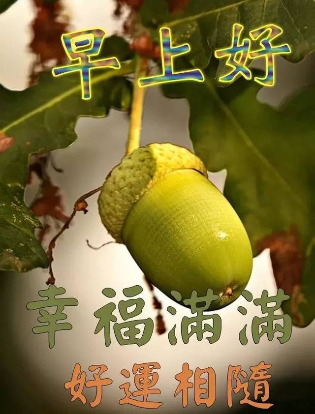 9月21日星期六早上好问候语图片大全 秋天早上好祝福表情动态图