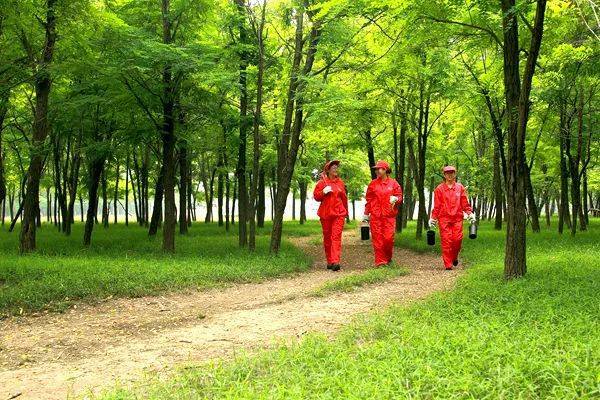 绿企创建丨创建绿企从我做起,绿色生活有你有我!_手机搜狐网