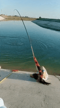 搞笑gif:妹子,是不是没吃药就把自己放出来了