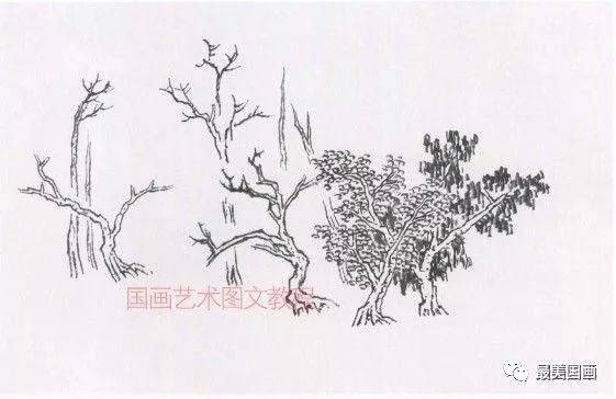 国画技法:山水画树木的绘画技法图文详解,画树技法步骤详解