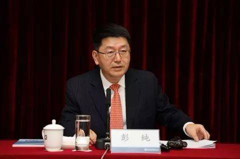 有能力参与问题机构处置中投公司董事长彭纯亮相谈业绩更看重相对收益