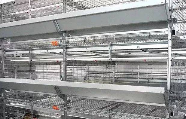 蛋鸭养殖新模式-----大牧人h型蛋鸭笼养技术