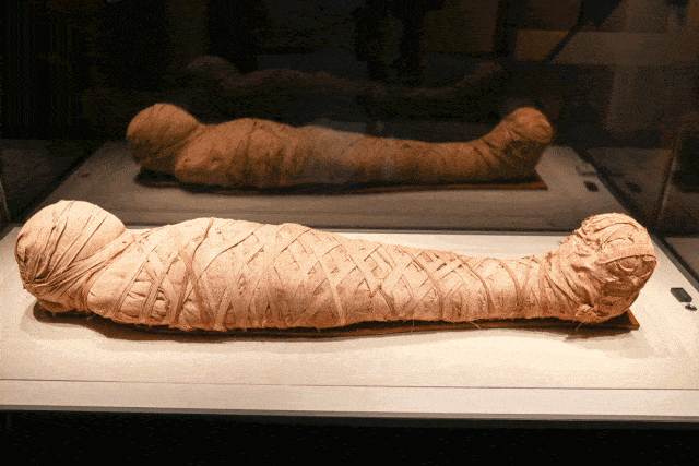 金寿福:古埃及木乃伊何以成为欧洲人的药材