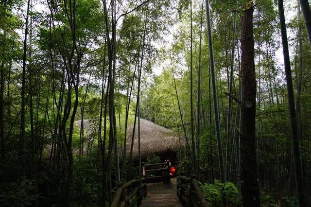 图虫 行摄南野