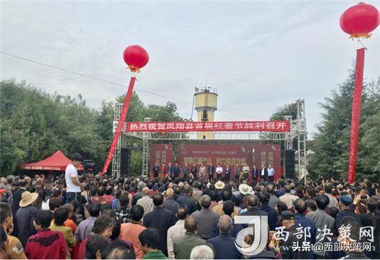 陕西凤翔县举办首届(虢王)"红薯节"庆祝"中国农民丰收节"