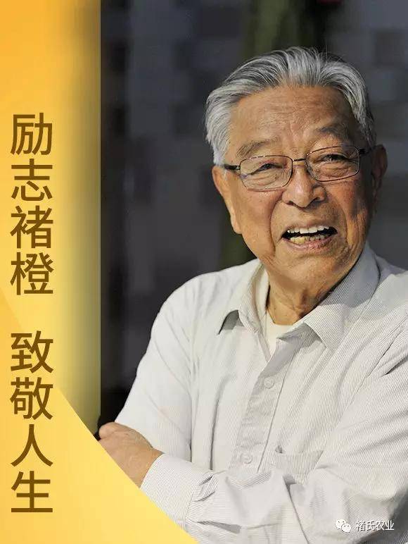褚橙来了 天猫首发,一份献给冬日的橙意!