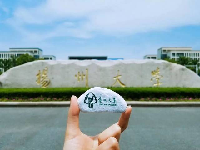 扬州大学2020年硕士研究生招生简章出炉!