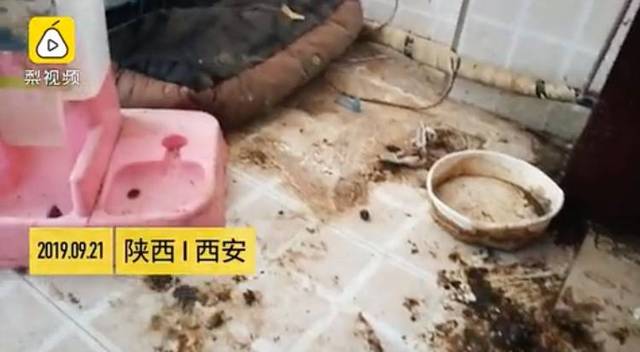 警方悬赏10万烈焰变态私服通缉奸杀女童嫌疑人!