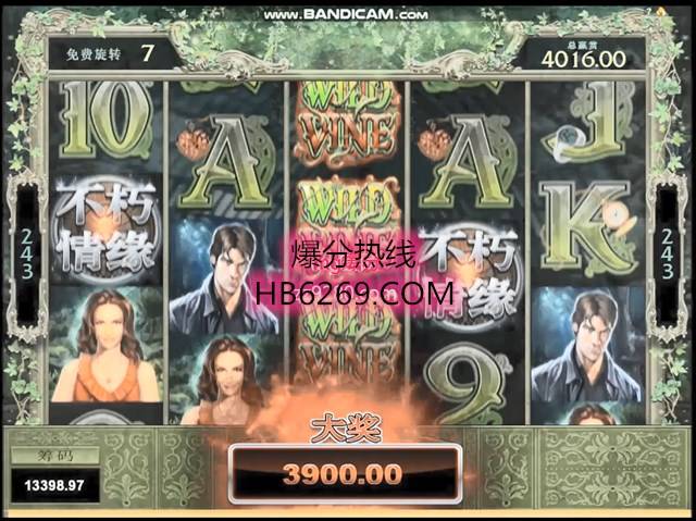 mg不朽的浪漫视频给你五滴血视觉,不朽情缘秘