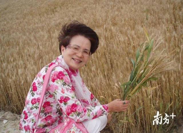 蓉子,_大山谷图库