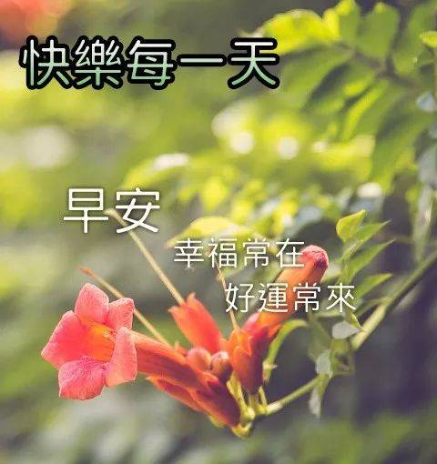 分享朋友圈的早上好漂亮图片带字 暖心的早上好祝福说说心情