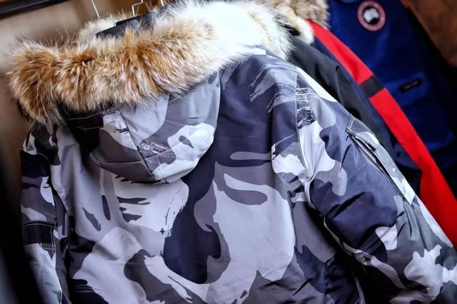 独家纯原 全新版 canada goose加拿大大鹅 北美郊狼毛