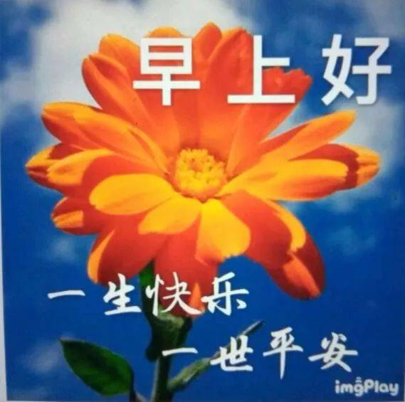 ȦϺƯͼƬ ůĵϺף˵˵