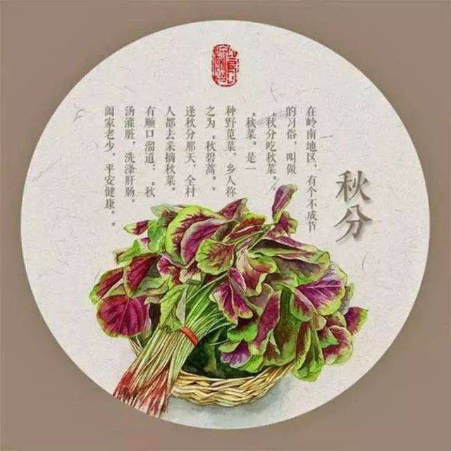 节气丨秋分客尚在,竹露夕微微