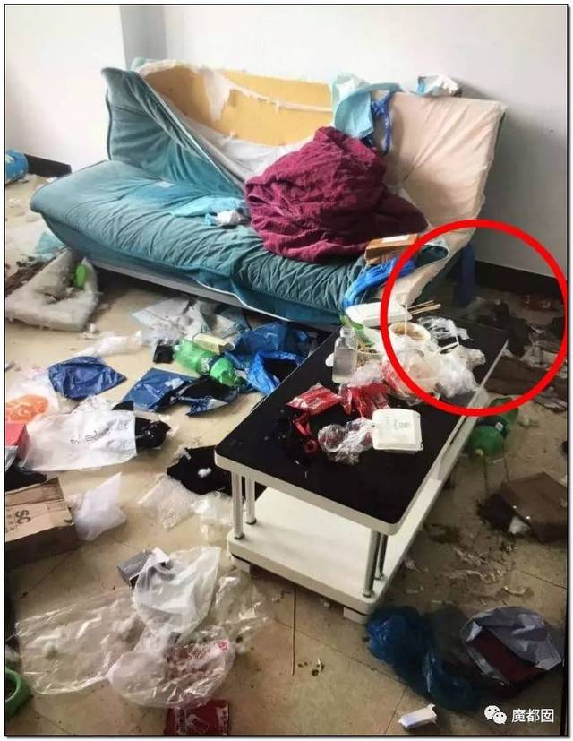 看看这满屋子,知道的会说她是女主播网红,不知道以为她这里是垃圾处理