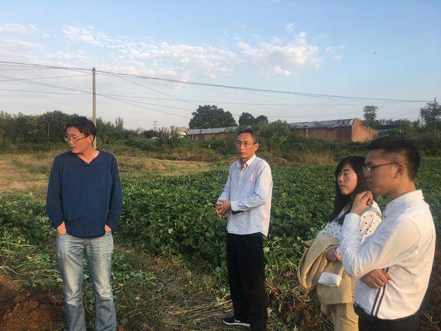 朱渭兵老师出自有名的红薯世家,其父西农大教授朱俊光在秦岭大地无人