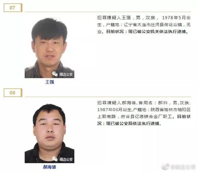 靖边县公安局关于贺秉权等人涉嫌组织,领导,参加黑社会性质组织犯罪案