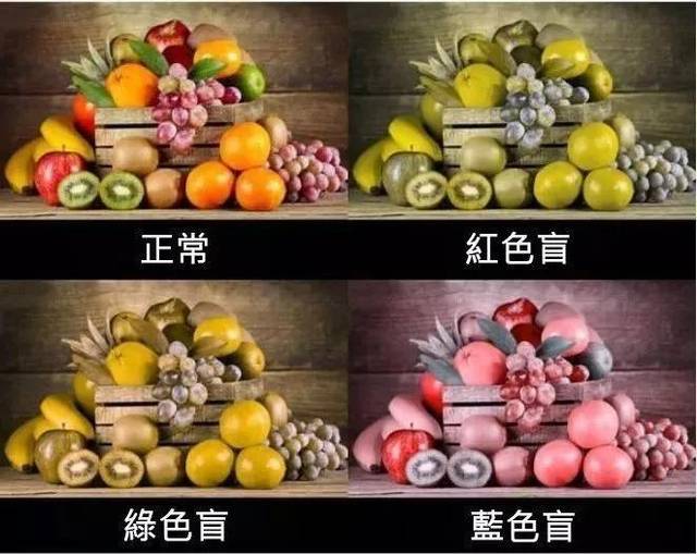 两分钟带你看看十大眼病中的世界是什么样的!