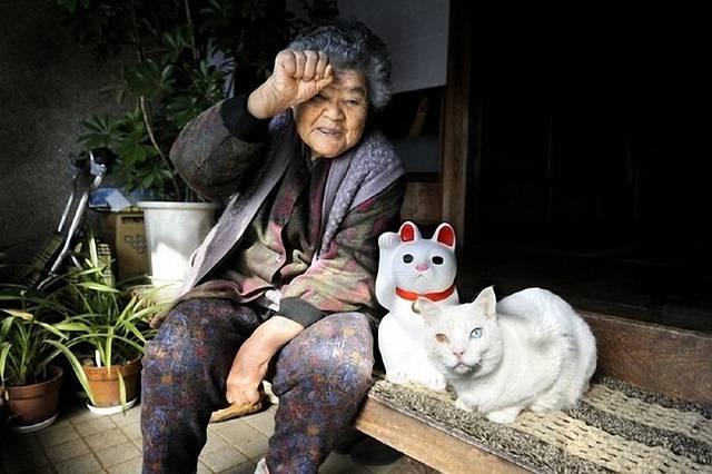 实拍88岁老奶奶与猫的独居生活