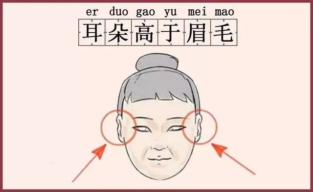 耳朵高于眉毛