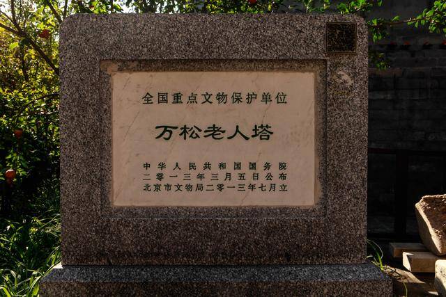 万松老人塔,13年被评选为国家重点保护文物单位