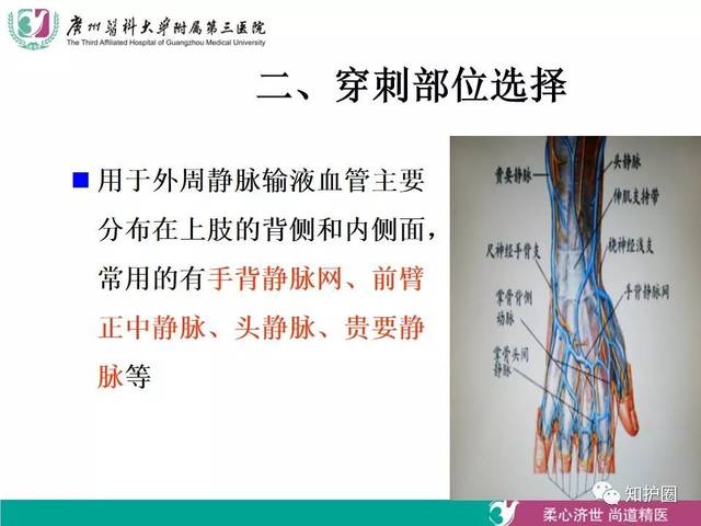 【ppt】静脉留置针穿刺技术及静脉管道的维护