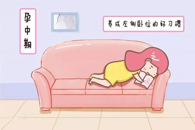 02孕中期