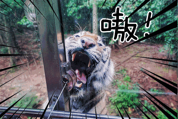 猛兽就在你眼前,就在身边.