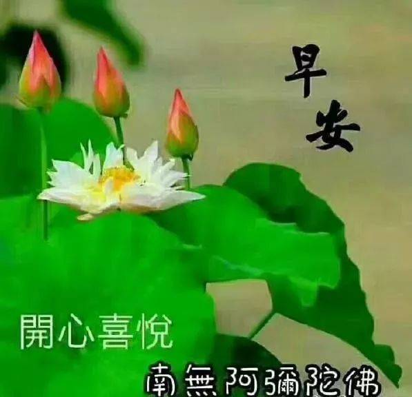 分享朋友圈的早上好漂亮图片带字 暖心的早上好祝福说说心情