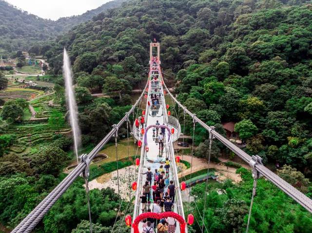 * 以上图片仅供参考  地址:广州市增城区小楼镇(二龙山景区内)