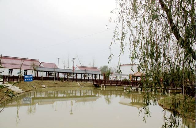 叶集区姚李镇壮丽70年 奋进新时代