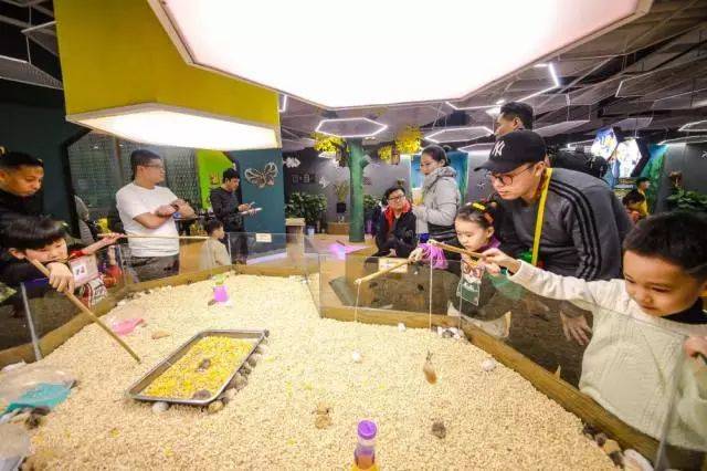一只手就完全握住的小仓鼠怎不好好v仓鼠?摸仓鼠耳朵图片