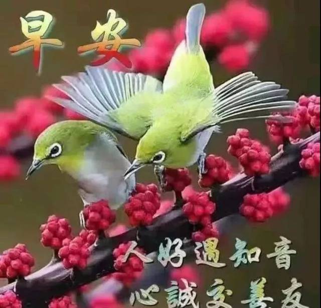 秋日早上好 深秋最漂亮的早上问候语图片表情大全