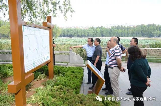 组一行先后来到山东钢城大汶河国家湿地公园的汶水湿地(恢复重建区)