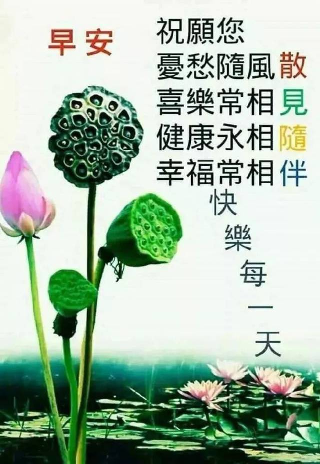 秋日早上好 深秋最漂亮的早上问候语图片表情大全