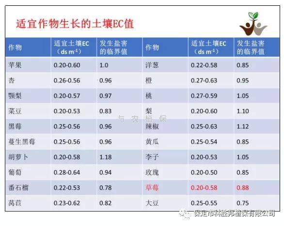 【与农技术】土壤ec值对草莓的影响